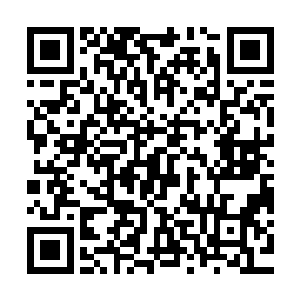 豪门大族里人际关系大概不像王家村那个小山村里那样淳朴简单二维码生成