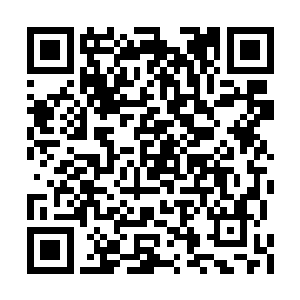 豺狼兵团已经冲到距离他们不到五十米远的地方二维码生成