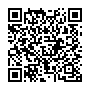 貌似也有点被苗毅这身杀气腾腾的打扮给震慑住了二维码生成