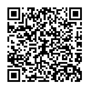 貌似他们曾经对苏茜怡付出的所有的爱都因为那一句话而得到了满足一样二维码生成