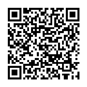 貌似几乎每个穿着长衫的书生手里都拿着一把折扇二维码生成