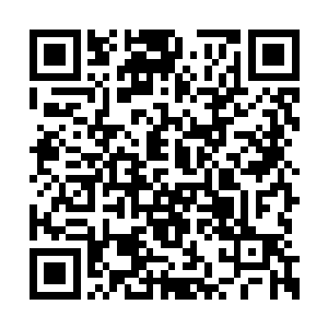 貌似叶子演的性格都奇怪……不过普通人没爆点二维码生成