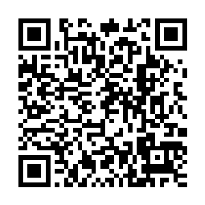 貌似整个青云天域就从来没有任何人见过这位玄大长老的真面目二维码生成