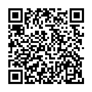 貌似木族和通天分教联合起来也比不上灵农宝宗二维码生成
