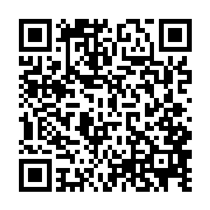 貌似还不够资格出动慕氏家族的中坚力量来为他报仇二维码生成