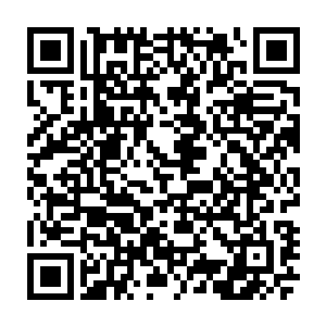 貌似还没有因为和居住在附近的火山岛上的那头太古红龙打起来而深受重伤二维码生成