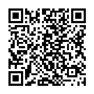 貌似这个任务是他接受过的所有任务当中最简答的了二维码生成