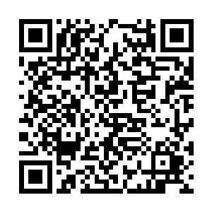 貌似这个星球上已经被寄生兽折腾的没剩多少人了二维码生成