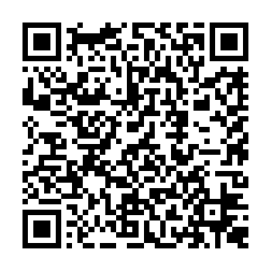 貌似这颗曼殊沙华因果万缘宝树就把两个人的精神力剥夺之后形成了光辉之果二维码生成