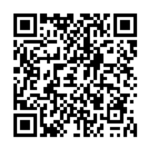 贝司瀚漆黑如墨的眸子里瞬间便犹如暴风雨来袭般风云变幻二维码生成