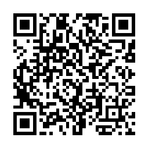 贝塔就着他们现在的位置开始为穆根和西格玛讲解起来二维码生成