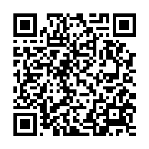 贝尼特斯确实没理由让球员们在一场无关紧要的比赛中拼尽全力二维码生成