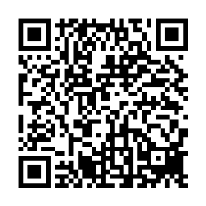 贝当毫不犹豫的选择了把中国远征军主力投入东部战场二维码生成