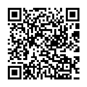 贝斯手佩德罗ˉ卡萨的实力欠缺成为了乐队最大的不确定因素二维码生成