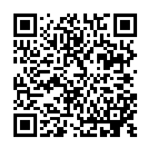 贝格子这会儿才想起来贝司瀚先前回的不是他自己的卧室二维码生成