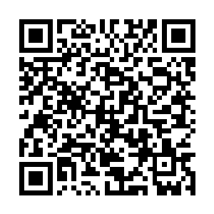 贝海一听就唐浩家里繁殖的那狗都到了一条四十万二维码生成