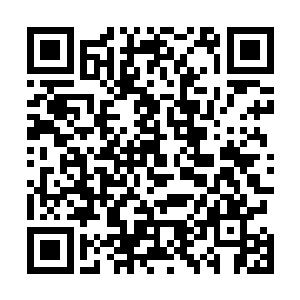 贝海一听立刻放下手上的事情直接光着脚就向着屋内跑去二维码生成