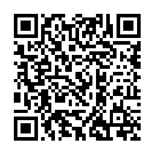 贝海一点儿也不想掺和到父母两人磨嘴皮的事情里去二维码生成