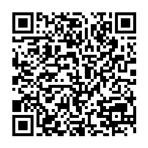 贝海一转脸看到皮球的嘴里声叼着小太妹晃着身体正向着捣蛋鬼那里送二维码生成
