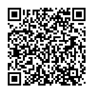 贝海一边说着一边伸手想从皮皮的手中把小海龟拿下来放回到海里去二维码生成