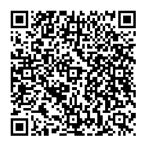 贝海不希望有人死但是也决不想看到这帮子下午还在对着自己竖中指的货这么轻松的就爬上了自己的船二维码生成