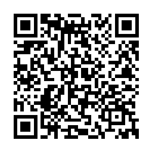 贝海不用看就知道这鱼至少从重量上看不怎么样二维码生成