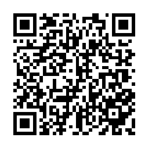 贝海不禁的觉得自己眼前的果树上面哪里是果子二维码生成