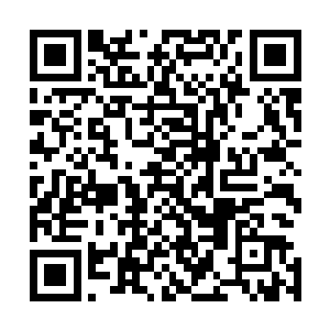 贝海也在海图上标示出了鱼群的位置还有让星号下锚的地点二维码生成