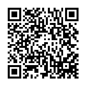 贝海从新拿回了望远镜继续四处张望着打量着四周的渔船二维码生成