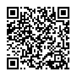 贝海以前就拿出来抱着怀念童心的目的玩了一下二维码生成