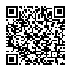 贝海伸着脑袋看了一下眼前大约两米半左右的方形坑二维码生成