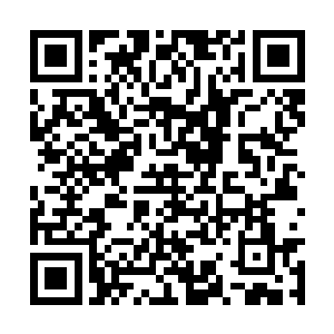 贝海决定一回去就把渔竿上的渔线都换成高磅数的二维码生成