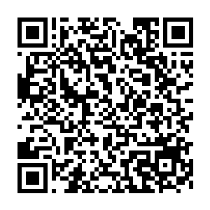 贝海只得又拿起了小锄头开始挨着菜刨坑然后把拖回来的肥料点进境里二维码生成