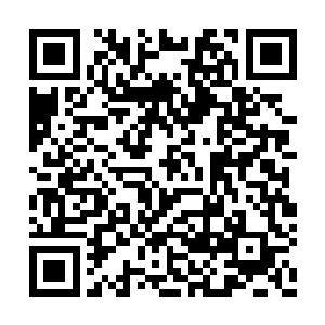贝海可不知道自己己经被新井利则盯上了很久了二维码生成