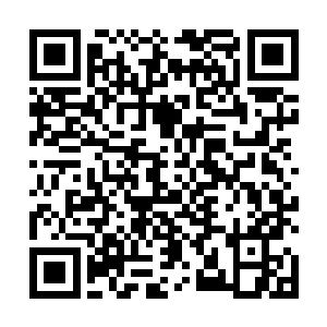 贝海可是知道金鱼就是由鲫鱼一代代的选种培育而来的二维码生成