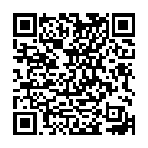 贝海听了大家的对话很是嘚瑟的站了起来转了一下腰说道二维码生成