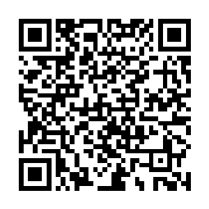 贝海听了这名称丝毫不怀疑这个名字是自家娃儿给起的二维码生成
