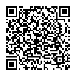 贝海听了这话顿时就是一愣跟接着把目光转到了囡囡手中的海龟身上二维码生成