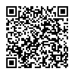 贝海听他这么说就示意身后的提箱子的两个小道士跟着自己一起走二维码生成