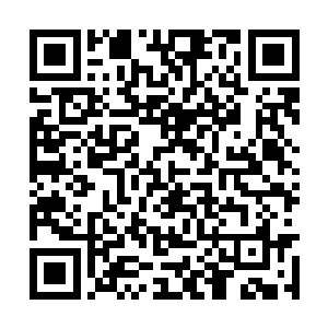 贝海小得意的竖起了大拇指向着自己的胸口点了点二维码生成