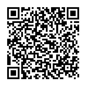 贝海就对龙虾和螃蟹有点儿失去了以前的削尖脑袋想拿来换钱的兴趣二维码生成