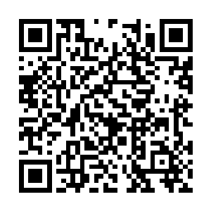 贝海就相中了大围子里的一黑一黄两个带条斑小狗二维码生成