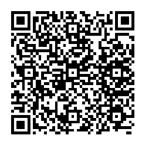 贝海感觉捣蛋鬼进空间的那一刹那似乎有这一道光从亭子顶点上向着四周扫了出去二维码生成