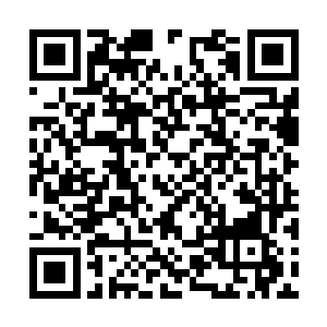 贝海指了指内则页上的一个四十五美元的花环说道二维码生成