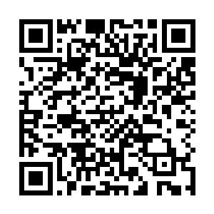 贝海掂了一下手上的钥匙然后就递给了今天的拿包小弟二维码生成