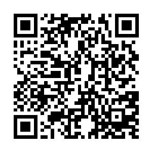 贝海提着手上的包对着四位警探挨个的握着手说道二维码生成