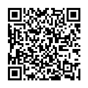 贝海望着从贮藏舱里被吊起的几条鱼顺口问了一句二维码生成