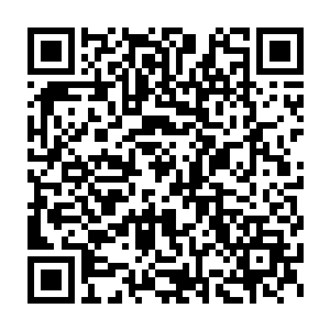 贝海望着越来越近的鲨鱼背上的三角鳍脑子里突外跳出一个这样的念头二维码生成