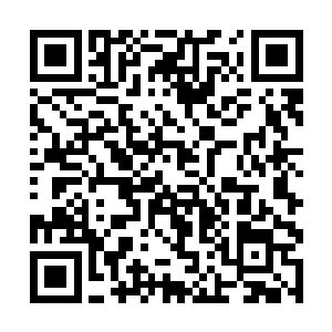 贝海望着这样的场景差点儿就要被感动的老泪纵横了二维码生成