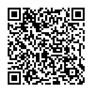 贝海没有想到以前自己端盘子的时候没有陪过人现在反而无聊的成为了陪客二维码生成